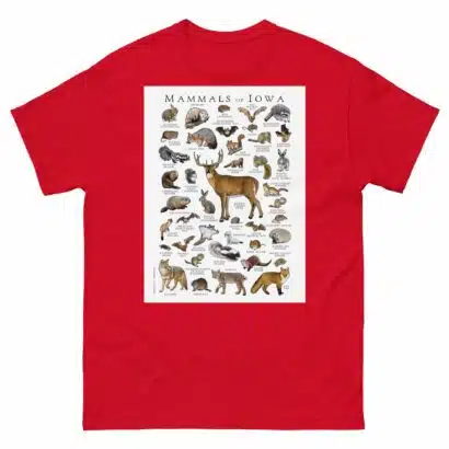 Mammals of Iowa - Men's classic tee - Image 3