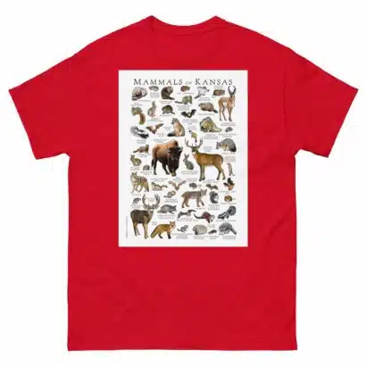 Mammals of Kansas - Men's classic tee - Image 3