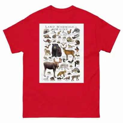 Land Mammals of Maine - Men's classic tee - Image 3