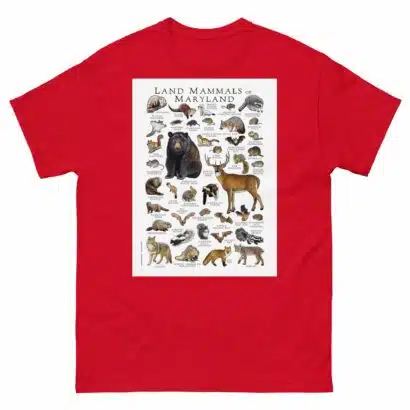 Land Mammals of Maryland - Men's classic tee - Image 3