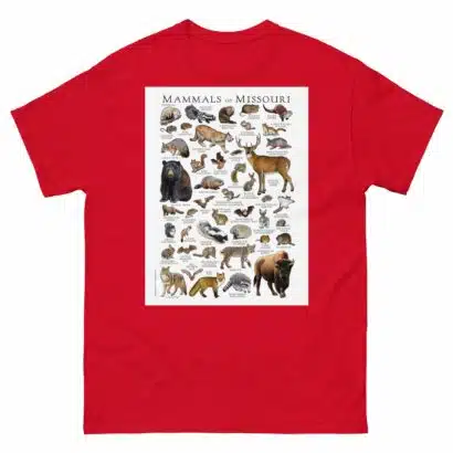 Mammals of Missouri - Men's classic tee - Image 3