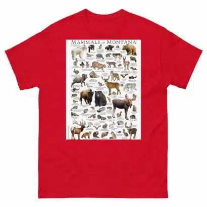 Mammals of Montana - Men's classic tee - Image 3