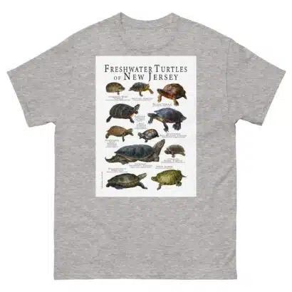 Freshwater Turtles of New Jersey - Men's classic tee - Image 9