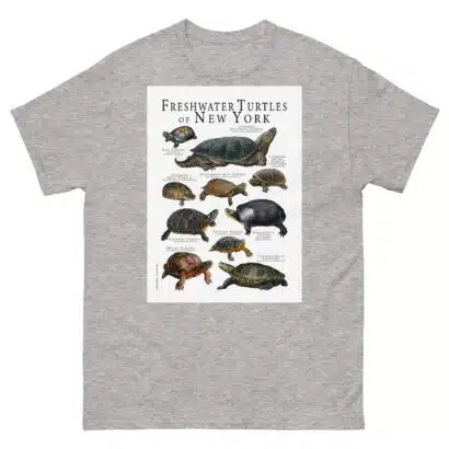 Freshwater Turtles of New York - Men's classic tee - Image 9