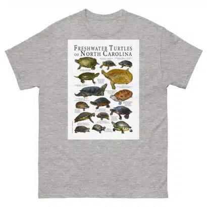 Freshwater Turtles of North Carolina - Men's classic tee - Image 9