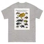Freshwater Turtles of Pennsylvania - Men's classic tee - Image 9