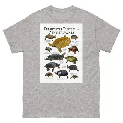 Freshwater Turtles of Pennsylvania - Men's classic tee - Image 9