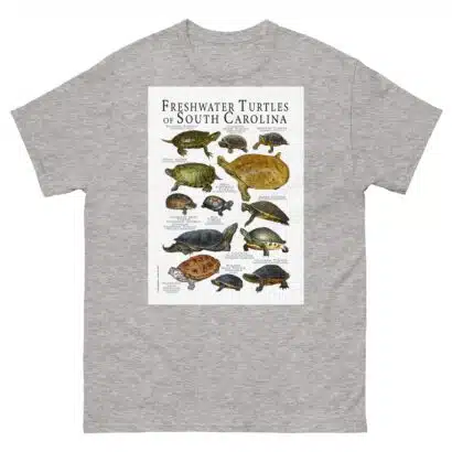 Freshwater Turtles of South Carolina - Men's classic tee - Image 9