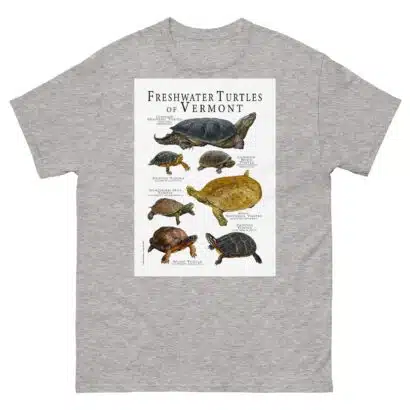 Freshwater Turtles of Vermont - Men's classic tee - Image 9