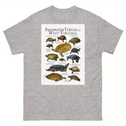 Freshwater Turtles of West Virginia - Men's classic tee - Image 9