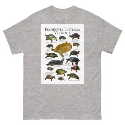 Freshwater Turtles of Virginia - Men's classic tee - Image 9
