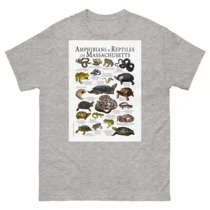 Amphibians & Reptiles of Massachusetts - Men's classic tee - Image 9