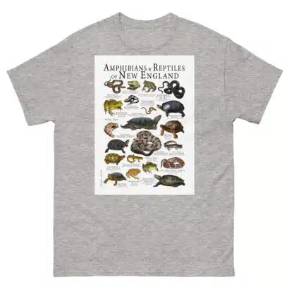Amphibians & Reptiles of New England - Men's classic tee - Image 9