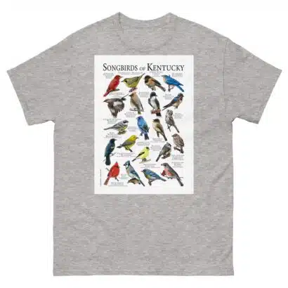 Songbirds of Kentucky- Men's classic tee - Image 9