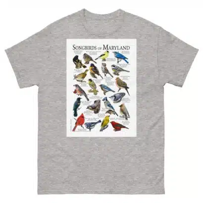 Songbirds of Maryland - Men's classic tee - Image 9