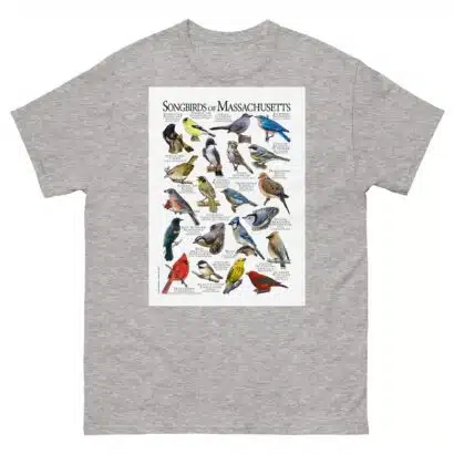 Songbirds of Massachusetts - Men's classic tee - Image 9