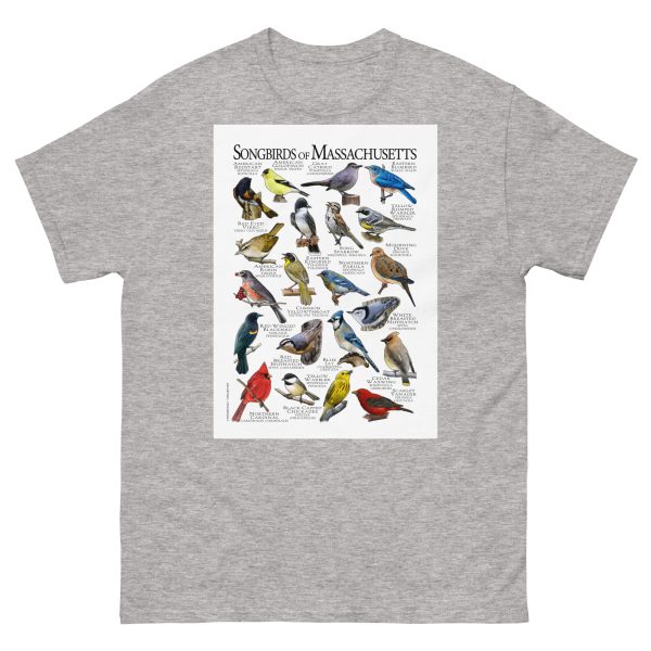Songbirds of Massachusetts - Men's classic tee - Image 9