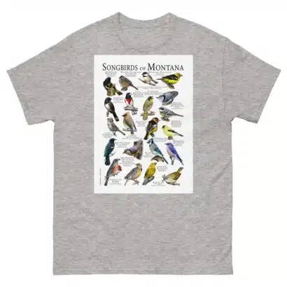 Songbirds of Montana - Men's classic tee - Image 9