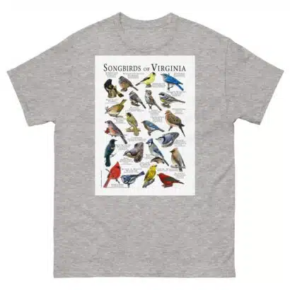 Songbirds of Virginia - Men's classic tee - Image 9