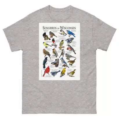 Songbirds of Wisconsin - Men's classic tee - Image 9
