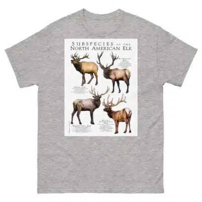 Subspecies of North American Elk - Men's classic tee - Image 9