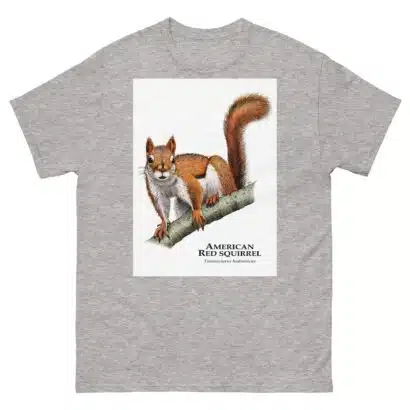 American Red Squirrel - Men's classic tee - Image 9
