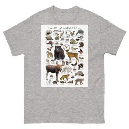 Land Mammals of Maine - Men's classic tee - Image 9