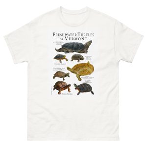 freshwater turtles of Vermont t-shirt