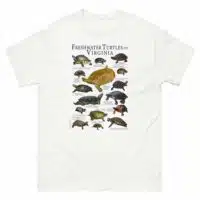 freshwater turtles of Virginia t-shirt