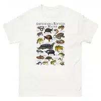 Amphibians & Reptiles of Maine t-shirt