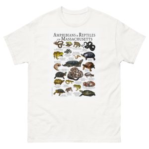 Amphibians and Reptiles of Massachusetts t-shirt