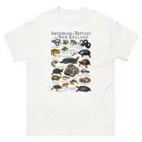 Amphibians & Reptiles of New England t-shirt