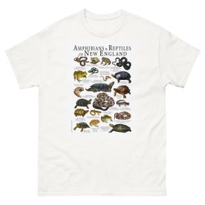 Amphibians & Reptiles of New England t-shirt