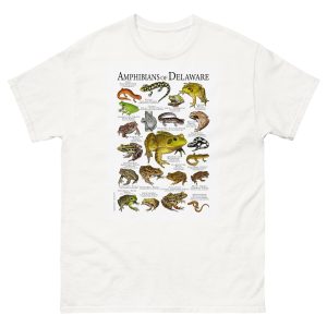 Amphibians of Delaware t-shirt