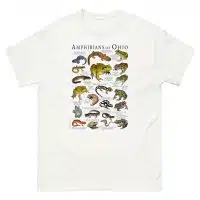 Amphibians of Ohio