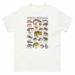 Amphibians of Pennsylvania