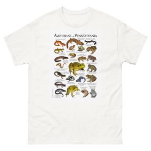 Amphibians of Pennsylvania
