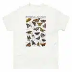 Butterflies of Colorado t-shirt