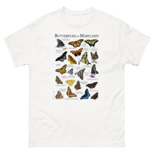 Butterflies of Maryland t-shirt