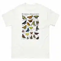 Butterflies of Massachusetts t-shirt