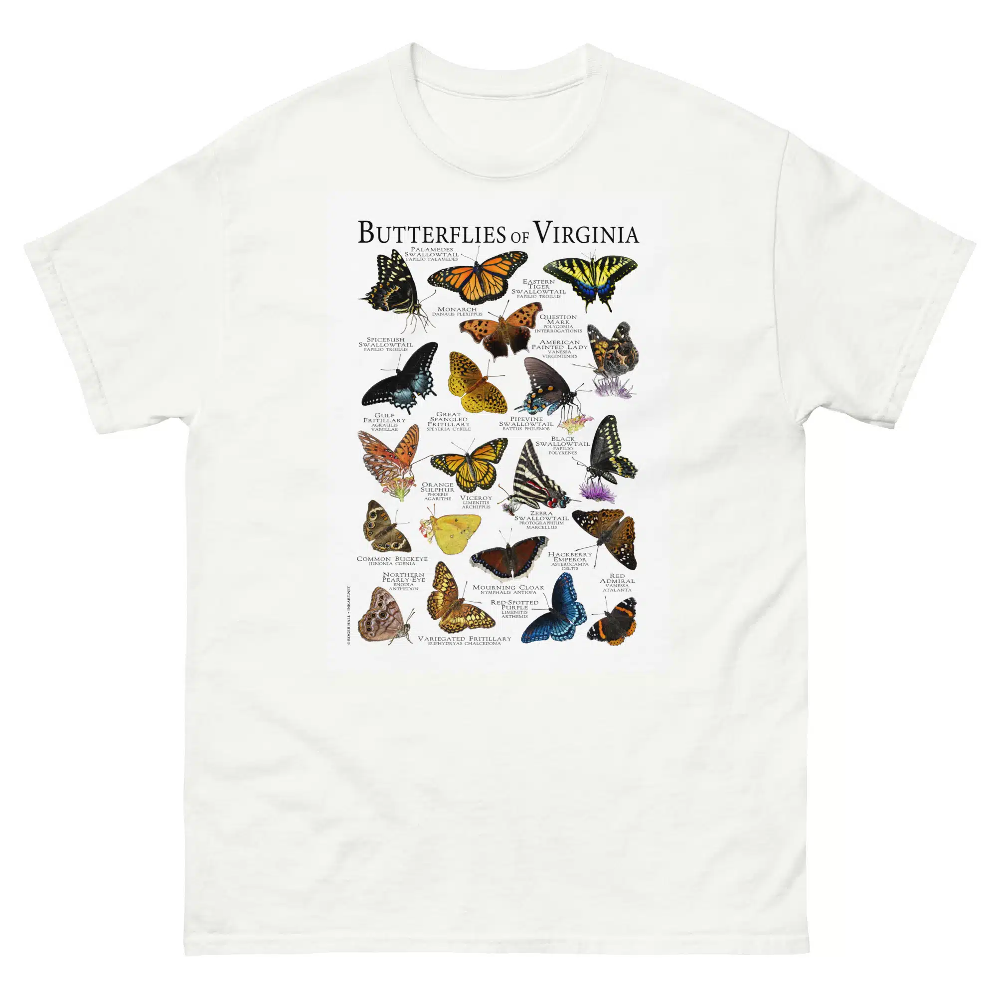 Butterflies Virginia mens-classic-tee Butterflies Virginia t-ahirt