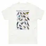 Songbirds of Colorado t-shirt