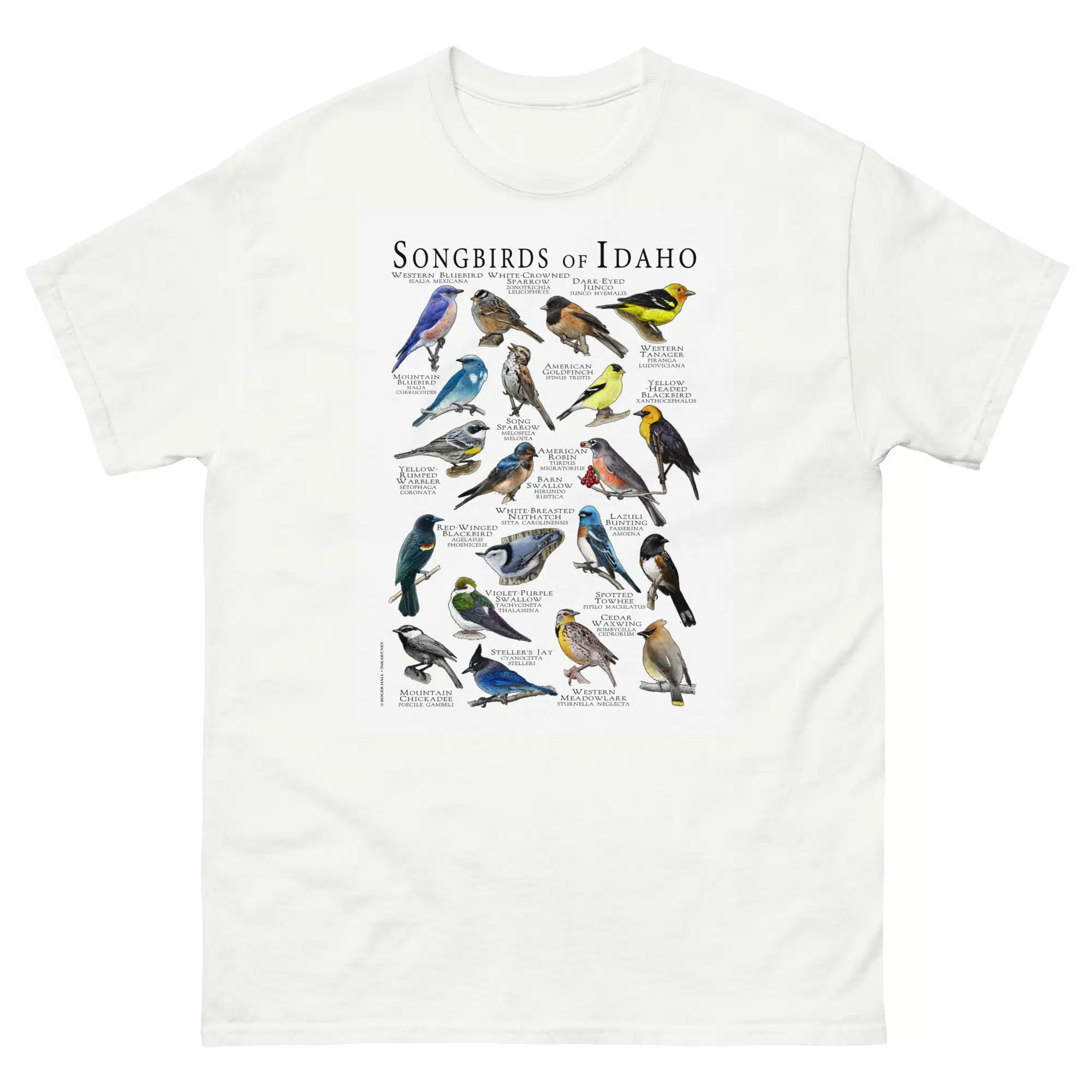 Songbirds of Idaho mens-classic-tee Songbirds of Idaho t-shirt