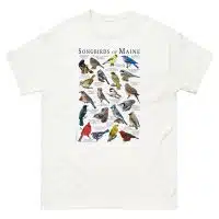 Songbirds of Maine t-shirt