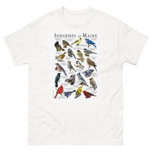 Songbirds of Maine t-shirt