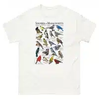 Songbirds of Massachusetts t-shirt