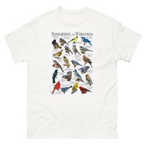 Songbirds of Virginia t-shirt