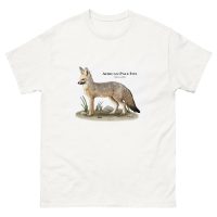 African Pale Fox (Vulpes pallida) t-shirt