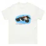 African Pygmy Goose (Nettapus auritus) t-shirt