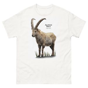 Alpine Ibex (Capra ibex) t-shirt